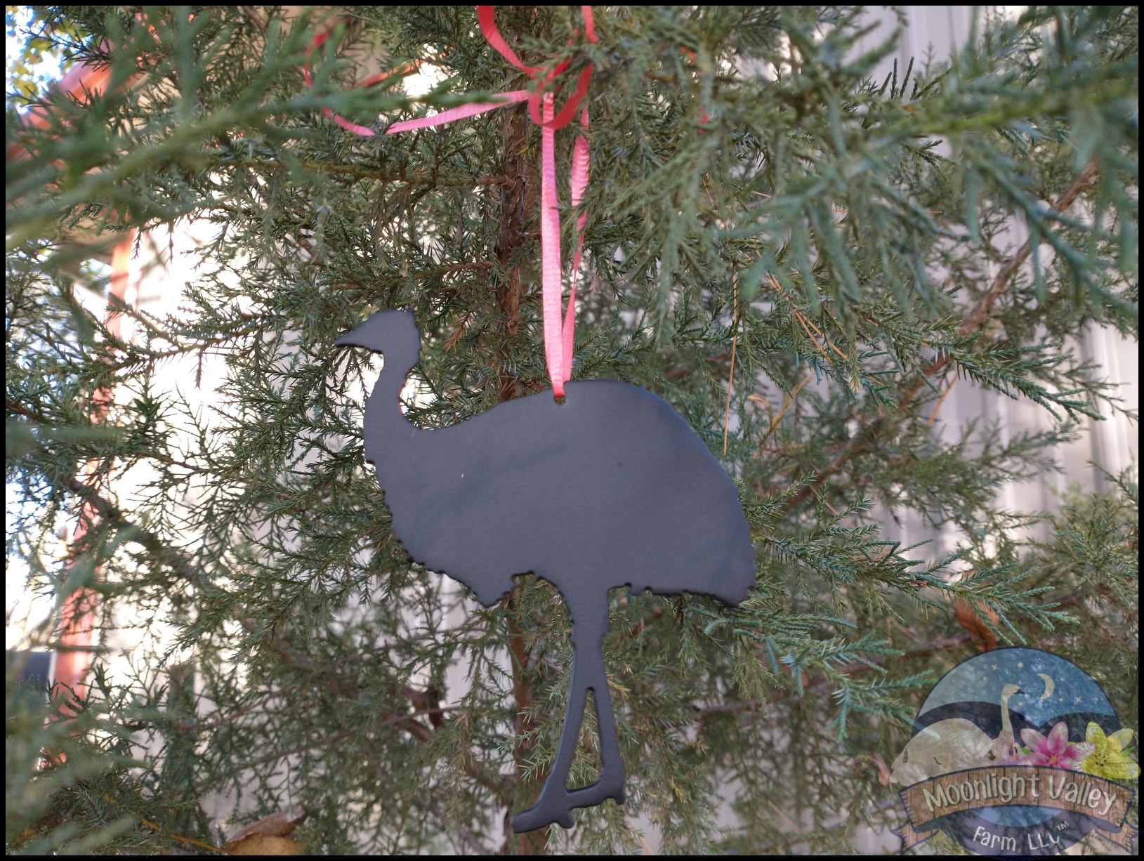 Emu Ornament - Click Image to Close