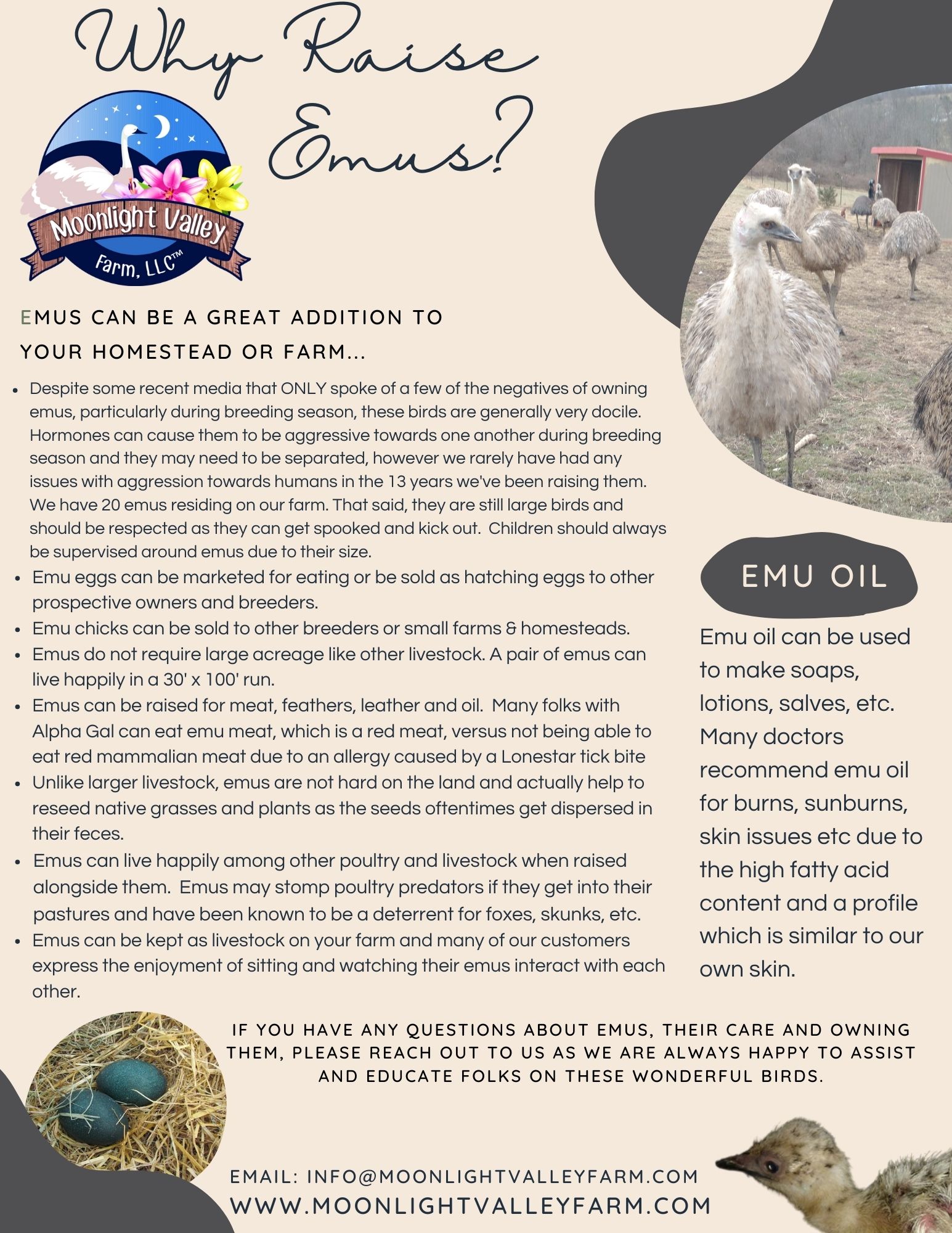 Why Raise Emus