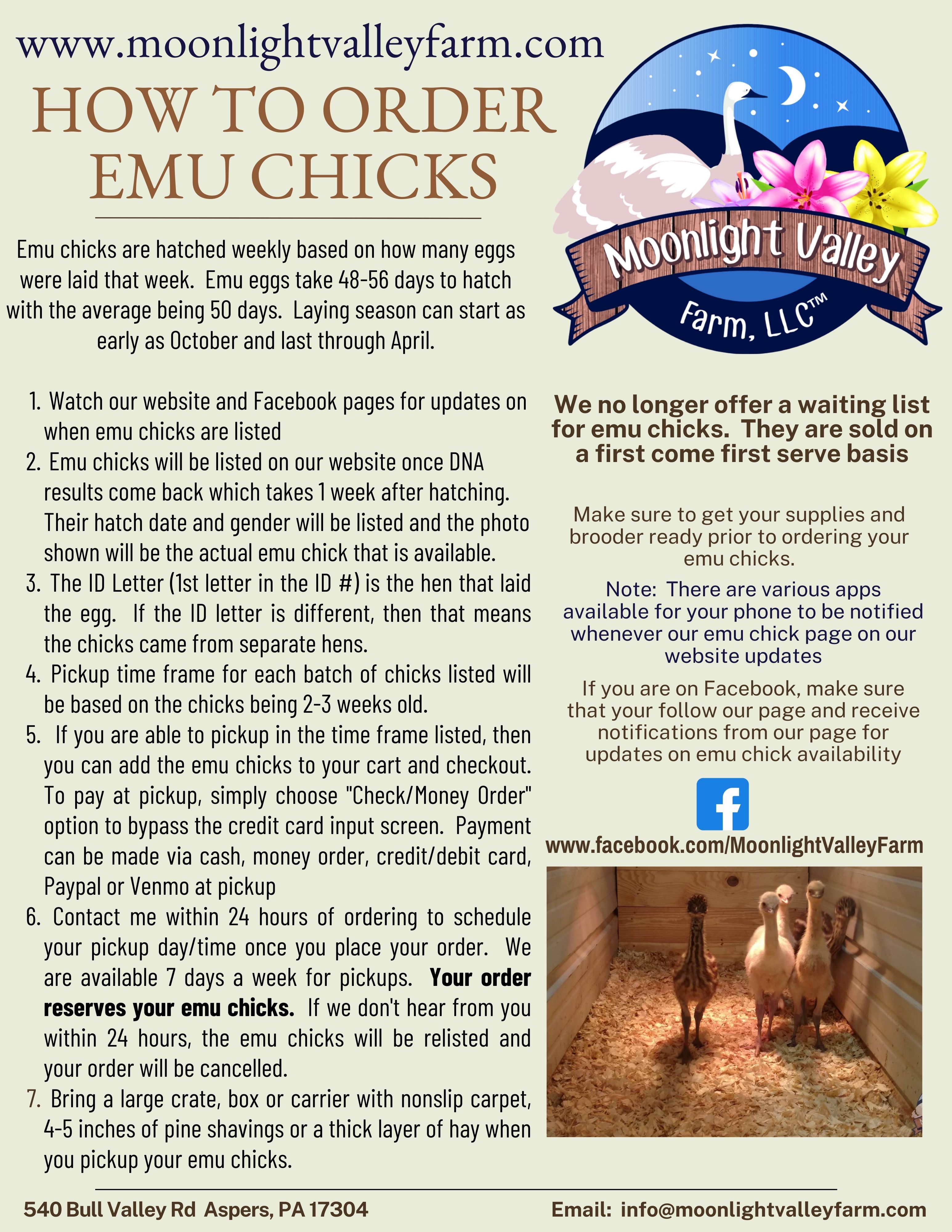 How To Order Emu Chicks
